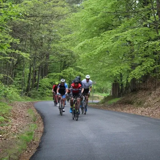 La Route Verte cyclosportive Vosges