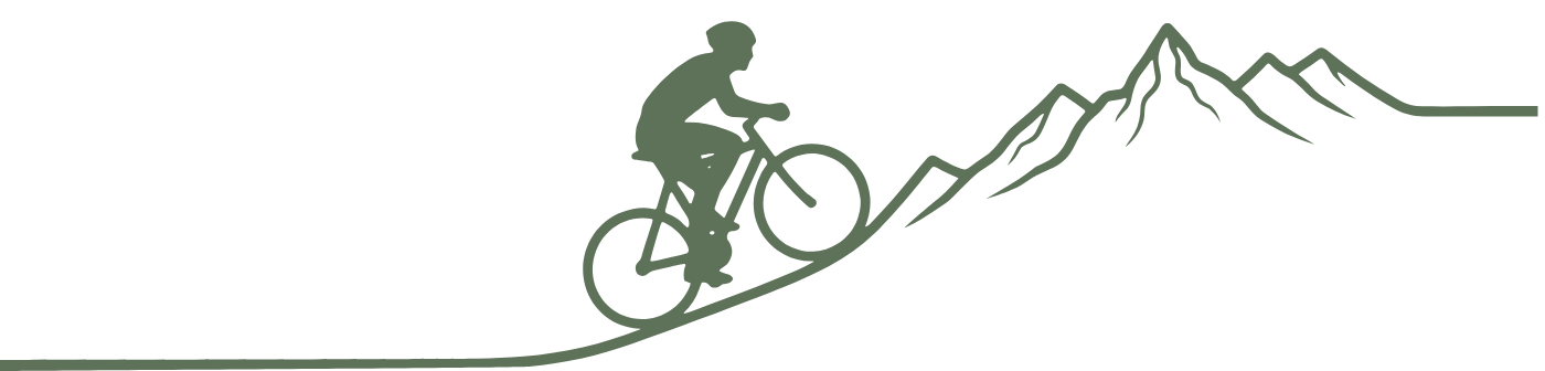 Ligne décorative stylisée utilisée sur la page Contact de la Route Verte